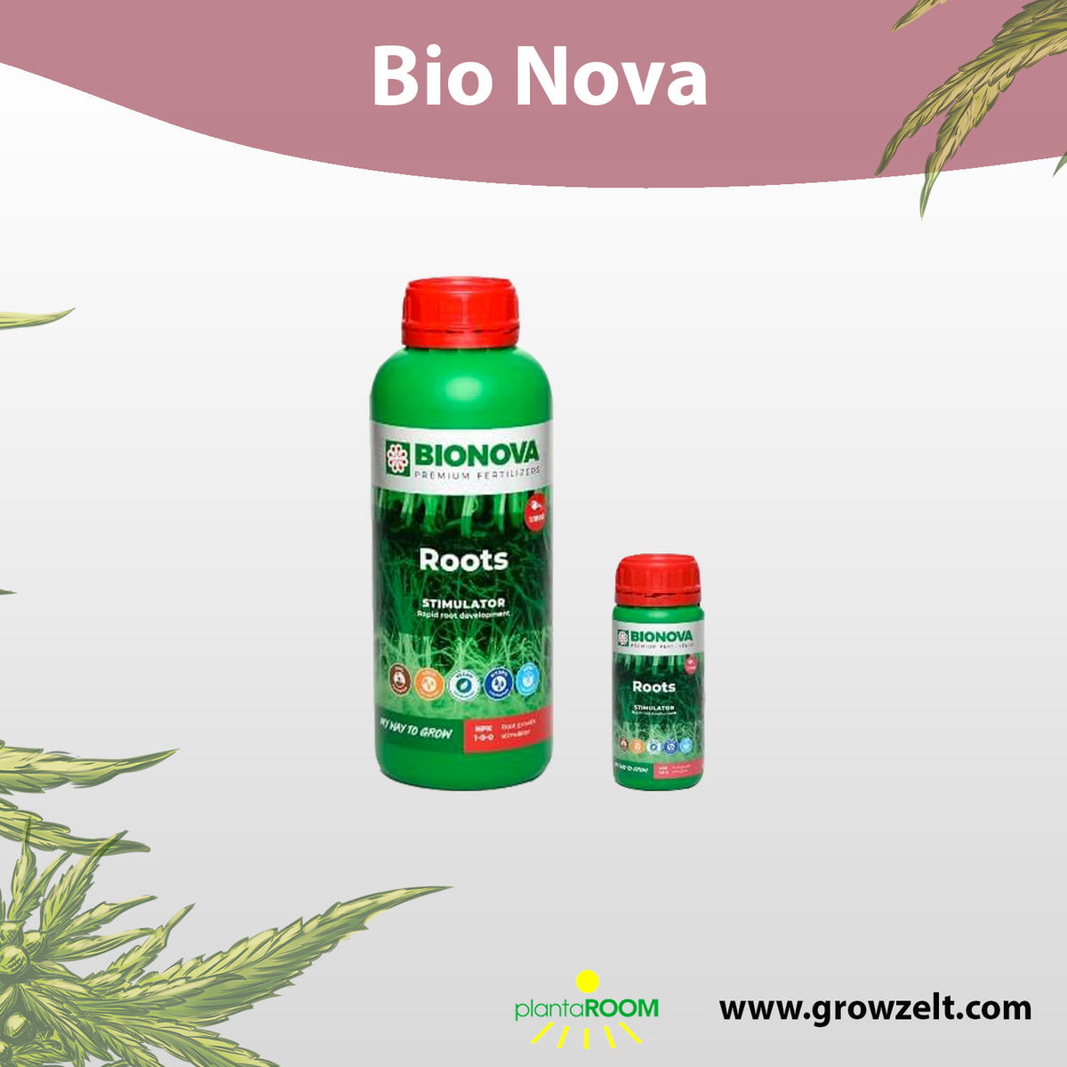 heidelbeeren mit hornspänen düngen Purgrün Bio-Heidelbeerdünger 1 Liter main image 1