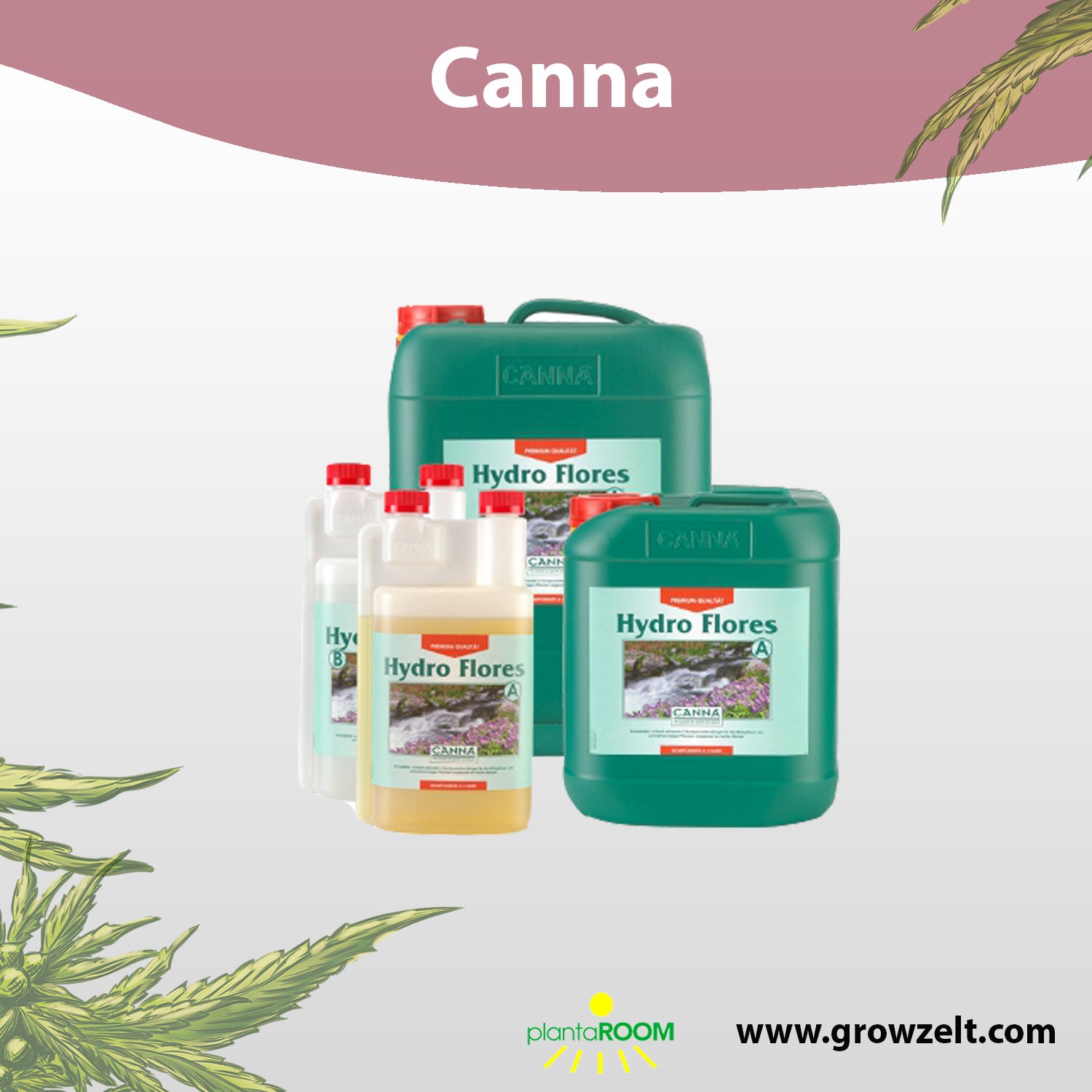 Dnger-Canna - Growzelt.com